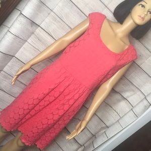 established 1962 dress